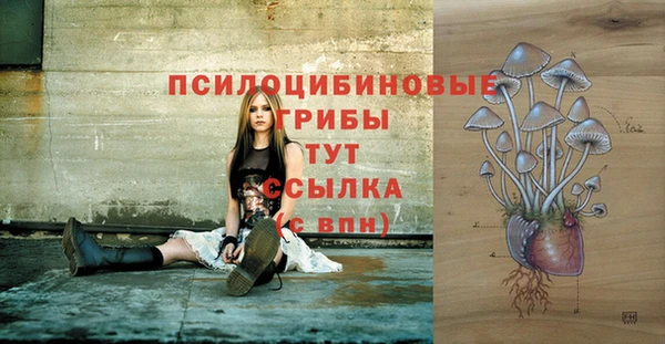 тгк Баксан