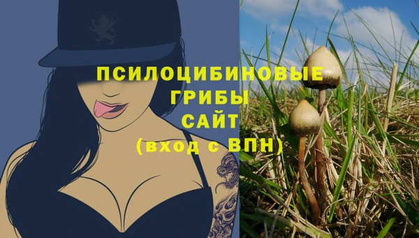 тгк Баксан