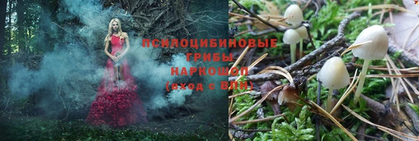тгк Баксан