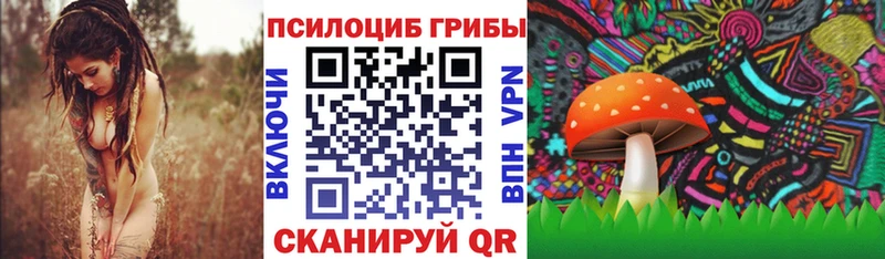 Галлюциногенные грибы MAGIC MUSHROOMS  где продают   Новая Усмань 